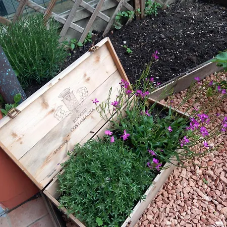 Casa Carolina 住宿加早餐酒店 Castellinaldo