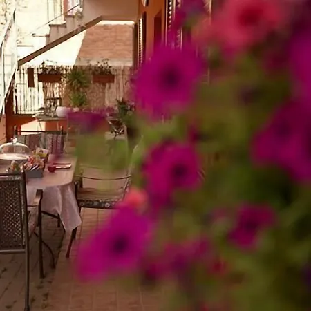 住宿加早餐酒店 Casa Carolina