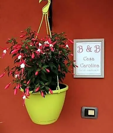 Casa Carolina