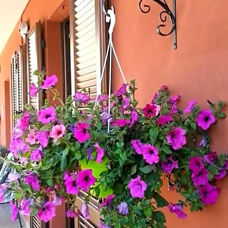 Bed and breakfast Casa Carolina