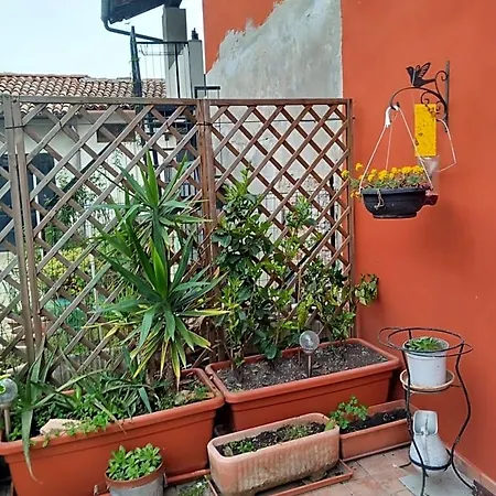 Bed and breakfast Casa Carolina Castellinaldo