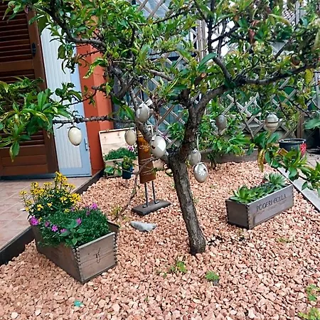 Casa Carolina Bed and breakfast 3*