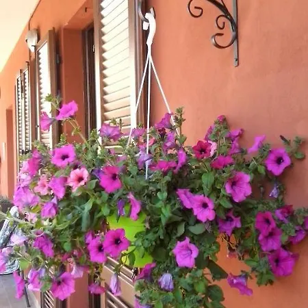 Casa Carolina Bed and breakfast 3*