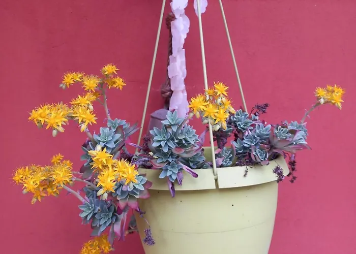 Bed & Breakfast Casa Carolina 3*